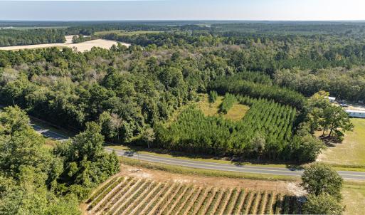 Photo #22 of Off Mote Road, Harrells, NC 15.7 acres