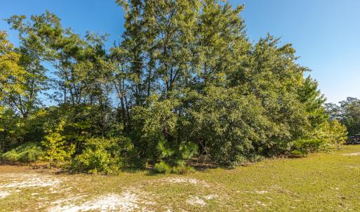 Photo #24 of Off Mote Road, Harrells, NC 15.7 acres
