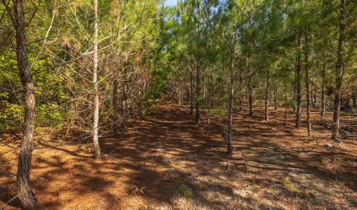 Photo #26 of Off Mote Road, Harrells, NC 15.7 acres