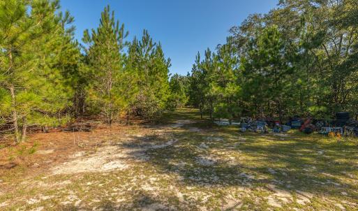 Photo #28 of Off Mote Road, Harrells, NC 15.7 acres