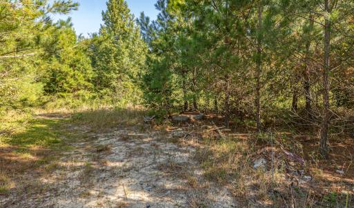 Photo #29 of Off Mote Road, Harrells, NC 15.7 acres
