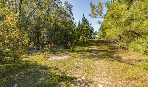 Photo #31 of Off Mote Road, Harrells, NC 15.7 acres