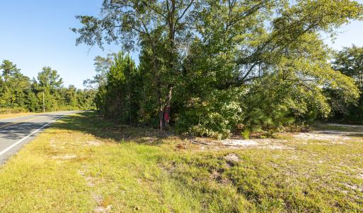 Photo #32 of Off Mote Road, Harrells, NC 15.7 acres