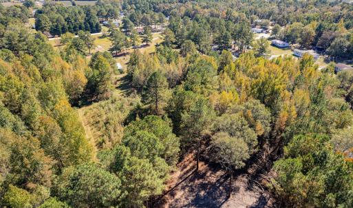 Photo #16 of SOLD property in 15565 Brian Lane , Laurel Hill, NC 5.6 acres