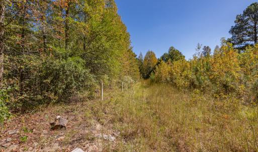 Photo #21 of SOLD property in 15565 Brian Lane , Laurel Hill, NC 5.6 acres