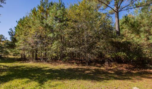 Photo #27 of SOLD property in 15565 Brian Lane , Laurel Hill, NC 5.6 acres