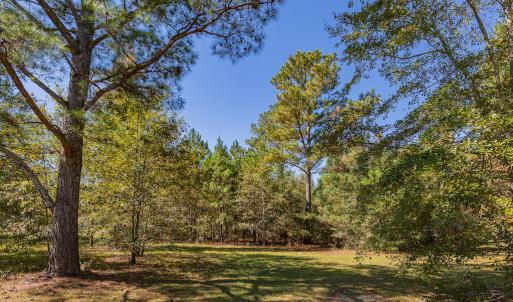 Photo #28 of SOLD property in 15565 Brian Lane , Laurel Hill, NC 5.6 acres