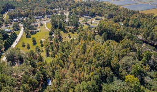 Photo #5 of SOLD property in 15565 Brian Lane , Laurel Hill, NC 5.6 acres