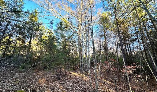 Photo #10 of Off Ladysmith Rd, Ruther Glen, VA 25.5 acres