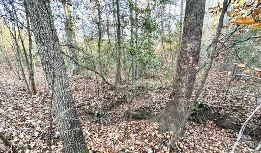 Photo #17 of Off Ladysmith Rd, Ruther Glen, VA 25.5 acres