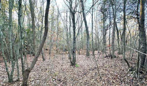 Photo #18 of Off Ladysmith Rd, Ruther Glen, VA 25.5 acres