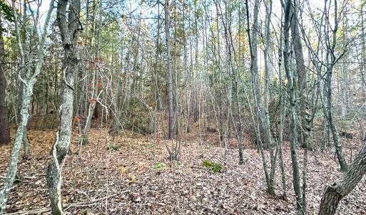 Photo #19 of Off Ladysmith Rd, Ruther Glen, VA 25.5 acres