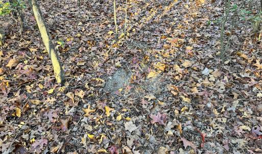 Photo #21 of Off Ladysmith Rd, Ruther Glen, VA 25.5 acres