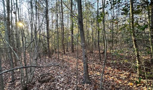 Photo #23 of Off Ladysmith Rd, Ruther Glen, VA 25.5 acres