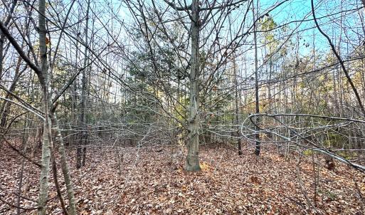 Photo #24 of Off Ladysmith Rd, Ruther Glen, VA 25.5 acres