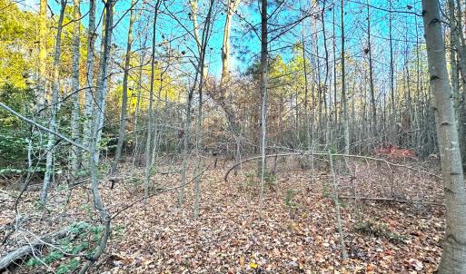 Photo #25 of Off Ladysmith Rd, Ruther Glen, VA 25.5 acres