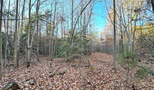 Photo #26 of Off Ladysmith Rd, Ruther Glen, VA 25.5 acres