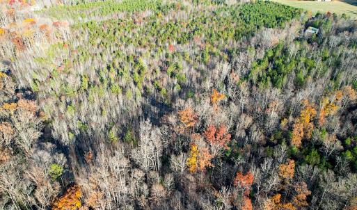 Photo #4 of Off Ladysmith Rd, Ruther Glen, VA 25.5 acres