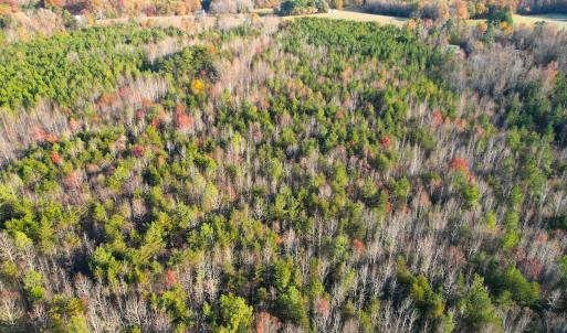 Photo #5 of Off Ladysmith Rd, Ruther Glen, VA 25.5 acres