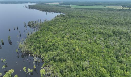 Photo #11 of SOLD property in 302 Emperors Landing Rd, Edenton, NC 625.0 acres