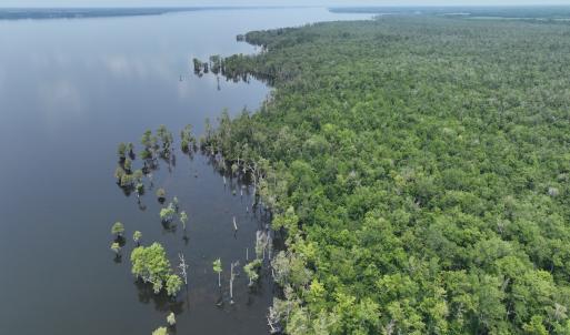 Photo #3 of SOLD property in 302 Emperors Landing Rd, Edenton, NC 625.0 acres