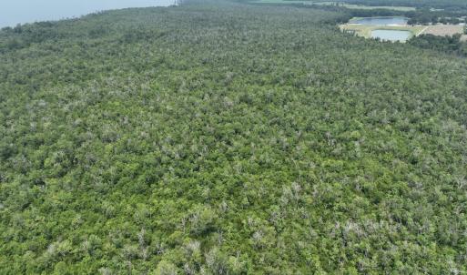 Photo #9 of SOLD property in 302 Emperors Landing Rd, Edenton, NC 625.0 acres