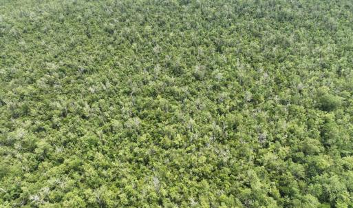 Photo #16 of SOLD property in 302 Emperors Landing Rd, Edenton, NC 625.0 acres