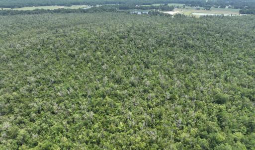 Photo #17 of SOLD property in 302 Emperors Landing Rd, Edenton, NC 625.0 acres