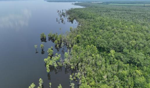 Photo #13 of SOLD property in 302 Emperors Landing Rd, Edenton, NC 625.0 acres