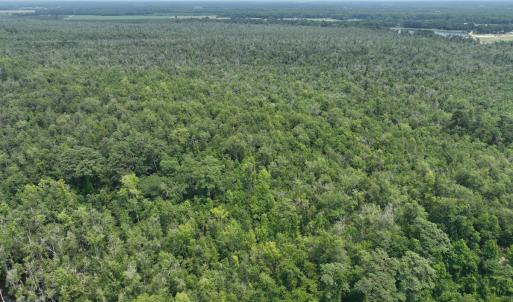 Photo #14 of SOLD property in 302 Emperors Landing Rd, Edenton, NC 625.0 acres