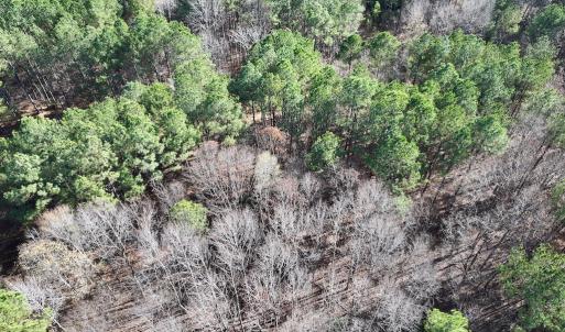 Photo #14 of Off Sims Bridge Road , Kittrell, NC 2.3 acres