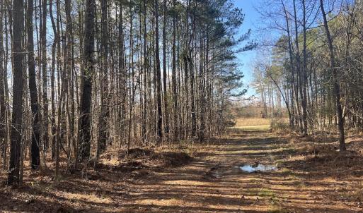 Photo #3 of Off Sims Bridge Road , Kittrell, NC 2.3 acres
