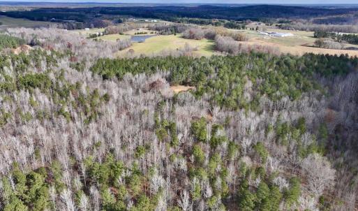 Photo #9 of SOLD property in Off Uzzle Road , Rougemont, NC 70.3 acres