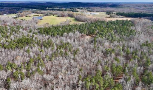 Photo #10 of SOLD property in Off Uzzle Road , Rougemont, NC 70.3 acres