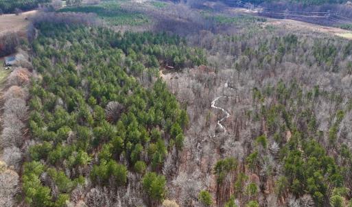 Photo #13 of SOLD property in Off Uzzle Road , Rougemont, NC 70.3 acres