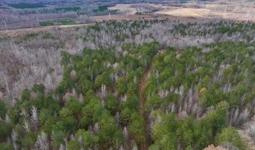 Photo #15 of SOLD property in Off Uzzle Road , Rougemont, NC 70.3 acres