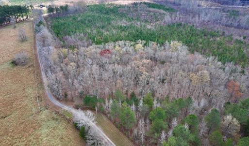 Photo #16 of SOLD property in Off Uzzle Road , Rougemont, NC 70.3 acres