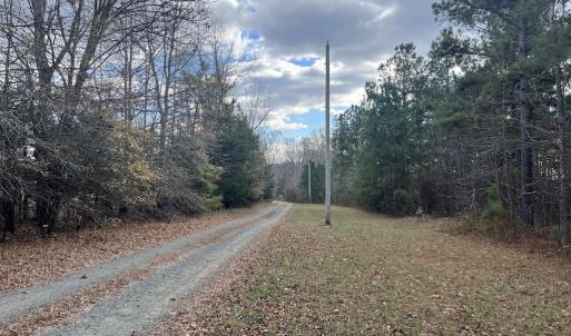 Photo #17 of SOLD property in Off Uzzle Road , Rougemont, NC 70.3 acres