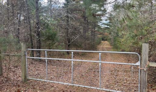 Photo #18 of SOLD property in Off Uzzle Road , Rougemont, NC 70.3 acres