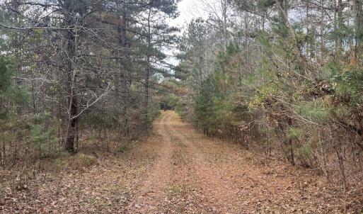 Photo #19 of SOLD property in Off Uzzle Road , Rougemont, NC 70.3 acres