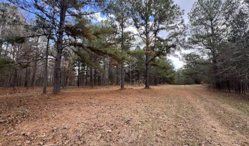 Photo #20 of SOLD property in Off Uzzle Road , Rougemont, NC 70.3 acres