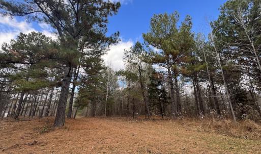 Photo #21 of SOLD property in Off Uzzle Road , Rougemont, NC 70.3 acres