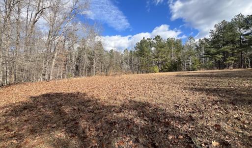 Photo #22 of SOLD property in Off Uzzle Road , Rougemont, NC 70.3 acres