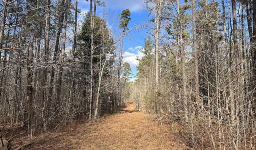 Photo #23 of SOLD property in Off Uzzle Road , Rougemont, NC 70.3 acres