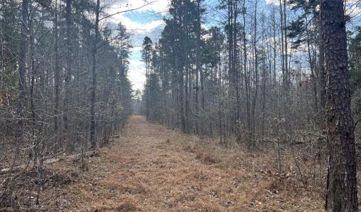 Photo #24 of SOLD property in Off Uzzle Road , Rougemont, NC 70.3 acres