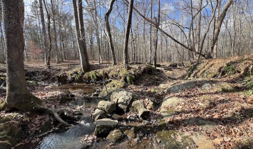 Photo #25 of SOLD property in Off Uzzle Road , Rougemont, NC 70.3 acres