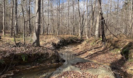 Photo #26 of SOLD property in Off Uzzle Road , Rougemont, NC 70.3 acres