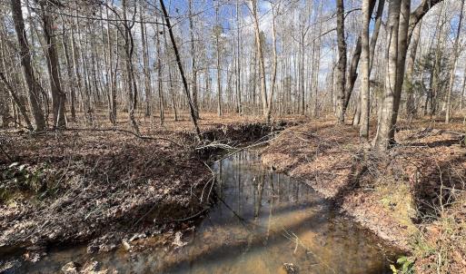 Photo #27 of SOLD property in Off Uzzle Road , Rougemont, NC 70.3 acres