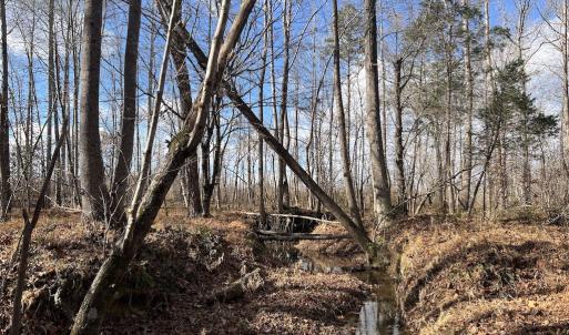 Photo #29 of SOLD property in Off Uzzle Road , Rougemont, NC 70.3 acres