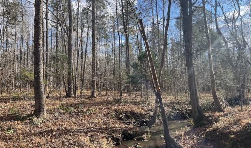 Photo #30 of SOLD property in Off Uzzle Road , Rougemont, NC 70.3 acres